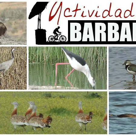 Apartament Barbancho *