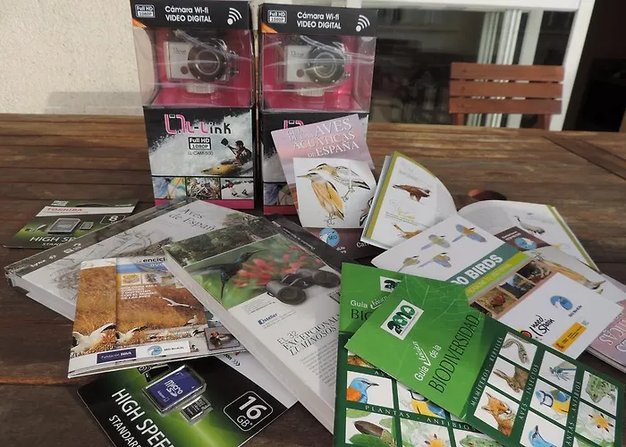 巴班奇奥公寓酒店 *