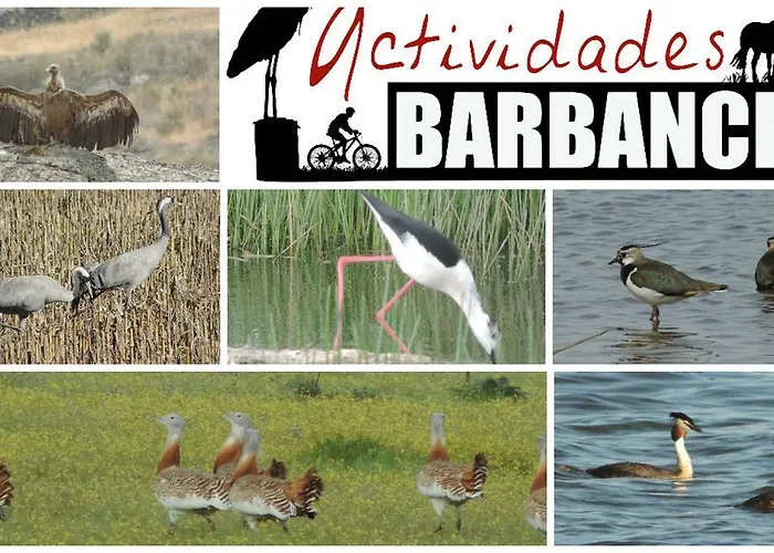 Apartman Barbancho *