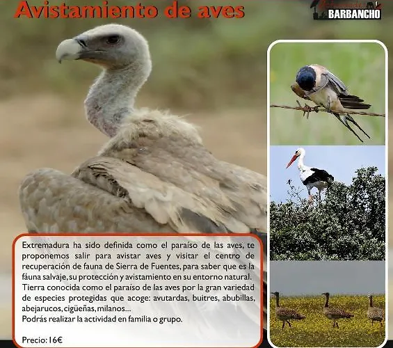 巴班奇奥公寓酒店 * Caces